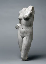 Torso of Venus