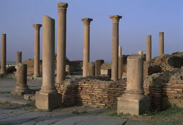View of the Library, High Imperial Period
