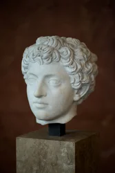 Head of the Roman Emperor Marcus Aurelius as a Young Man (121 - 180 AD) Marble