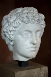 Head of the Roman Emperor Marcus Aurelius (Young)