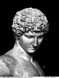 Antinous (detail)