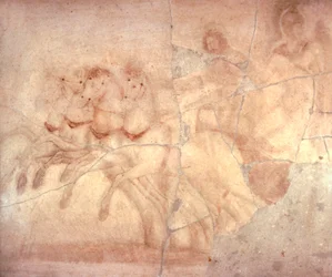 Fresco depicting chariot with charioteer, from Herculaneum