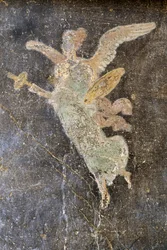 Fresco with Winged Figure, Right Wing in House of Vettii, Pompeii