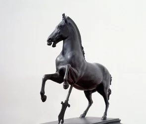 Galloping Horse