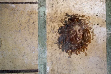 Gorgon