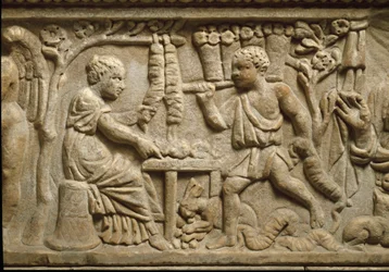 Representation of a manufacturer of crowns