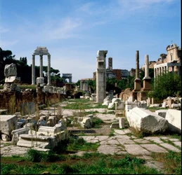 Roman Art: View of the Forum