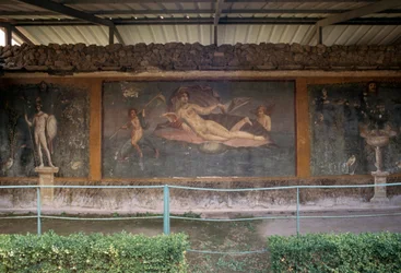 Venus in shell, fresco from peristylium in House of Venus in Shell, Pompeii