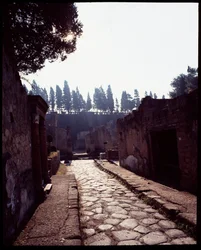 View of Cardo V, 5th Century BC-1st Century AD