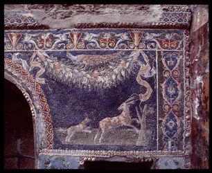 Wall mosaics of the nymphaeum of the casa di Nettuno e Anfitrite, Herculaneum