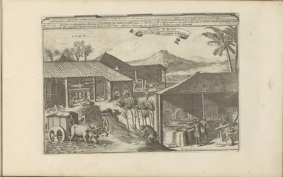 Brazilian Sugar Workers (title on object: Brazilian Sugar Works / Sugar Mills of Brazil) (series title: The East and West Indies and Other Places)