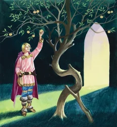 The Magic Apples