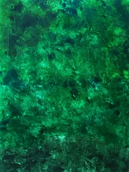 Lush Green Texture
