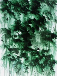 Misty Green Forest