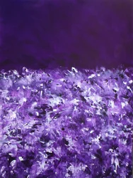 Vibrant Purple Fields