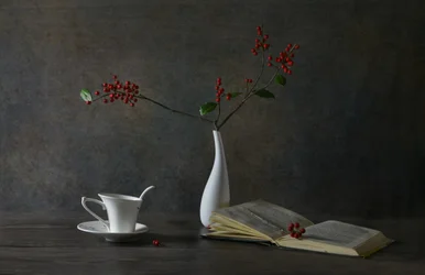 Cozy Reading Still Life