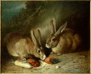 Rabbits