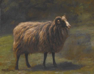 Ram