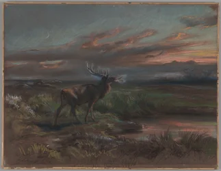 The Call of the Stag