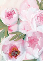 Blush Pink Peonies