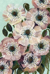 Blush Pink Poppies