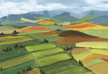 Colorful Rolling Fields