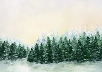 Frosted Winter Forest