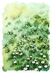 Green Meadow Flowers