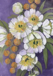 Luminous White Flowers