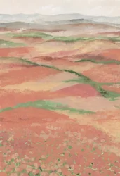 Vibrant Poppy Fields