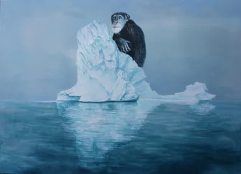 Chimpanzee on Iceberg