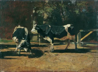 Cows in the Pasture