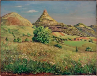 Landscape