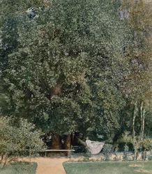 From the Spa Park in Tepliz