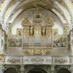 Organ