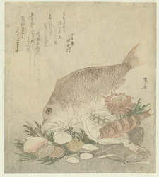 Fish and Shells