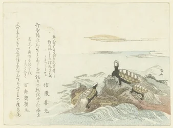 Turtles on a Rock