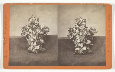 Untitled [floral tribute in the shape of a cross]