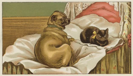 Tenants in Common