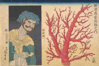 Stick of Coral and a Portrait of South Sea Islander