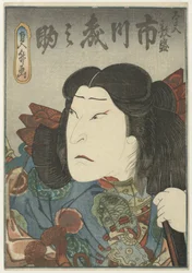 Disguised Courtesan