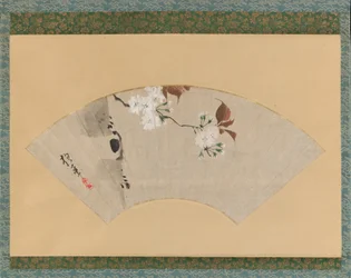Cherry Blossoms