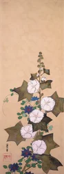 Hollyhocks