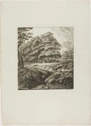 Man Reading a Book