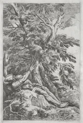 St. William the Hermit