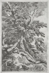 St. William the Hermit, c. 1662