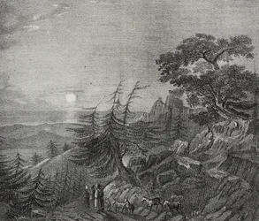 Landscape of Cedars forest on Mount Lebanon, near Beirut, Lebanon, lithograph by Salvatore Puglia from Poliorama Pittoresco, n 11, October 22