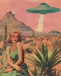 Desert UFO Encounter
