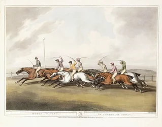 Horse Racing