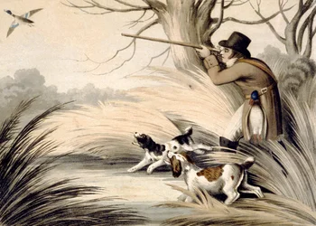Shooting Duck, engraved by H. Merke
